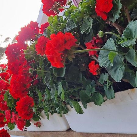 Finca Sa Cova De Mallorca เซนเซเยส ภายนอก รูปภาพ