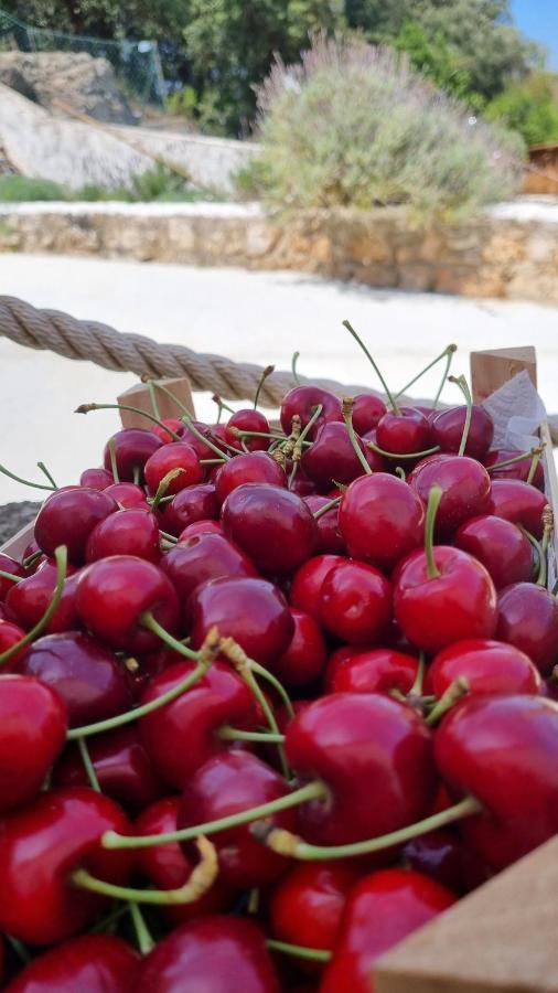 Finca Sa Cova De Mallorca เซนเซเยส ภายนอก รูปภาพ