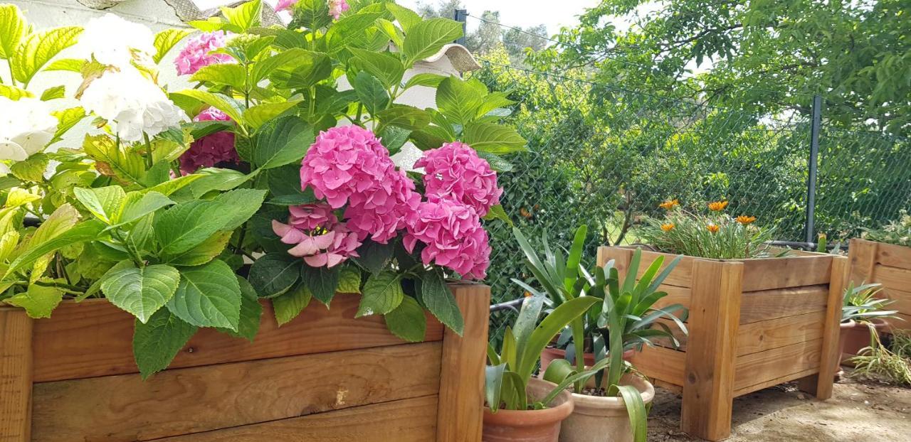 Finca Sa Cova De Mallorca เซนเซเยส ภายนอก รูปภาพ