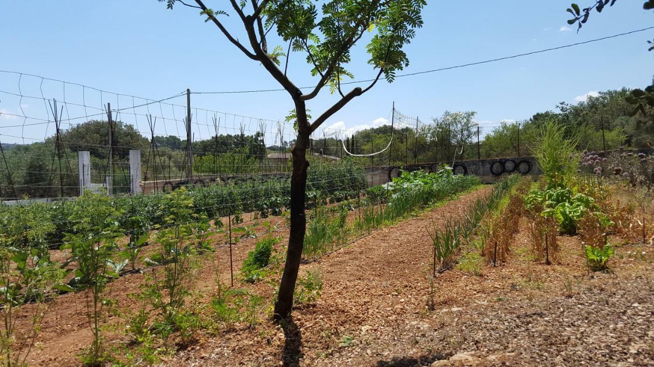 Finca Sa Cova De Mallorca เซนเซเยส ภายนอก รูปภาพ