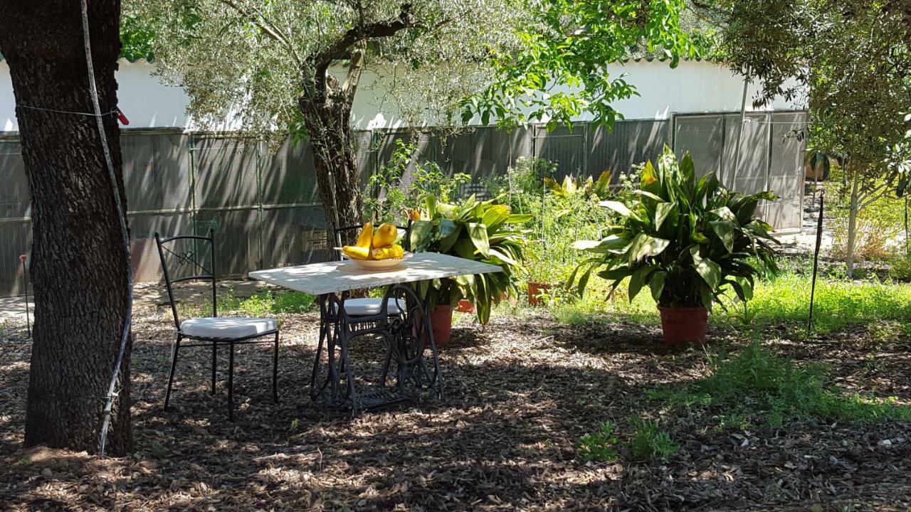Finca Sa Cova De Mallorca เซนเซเยส ภายนอก รูปภาพ