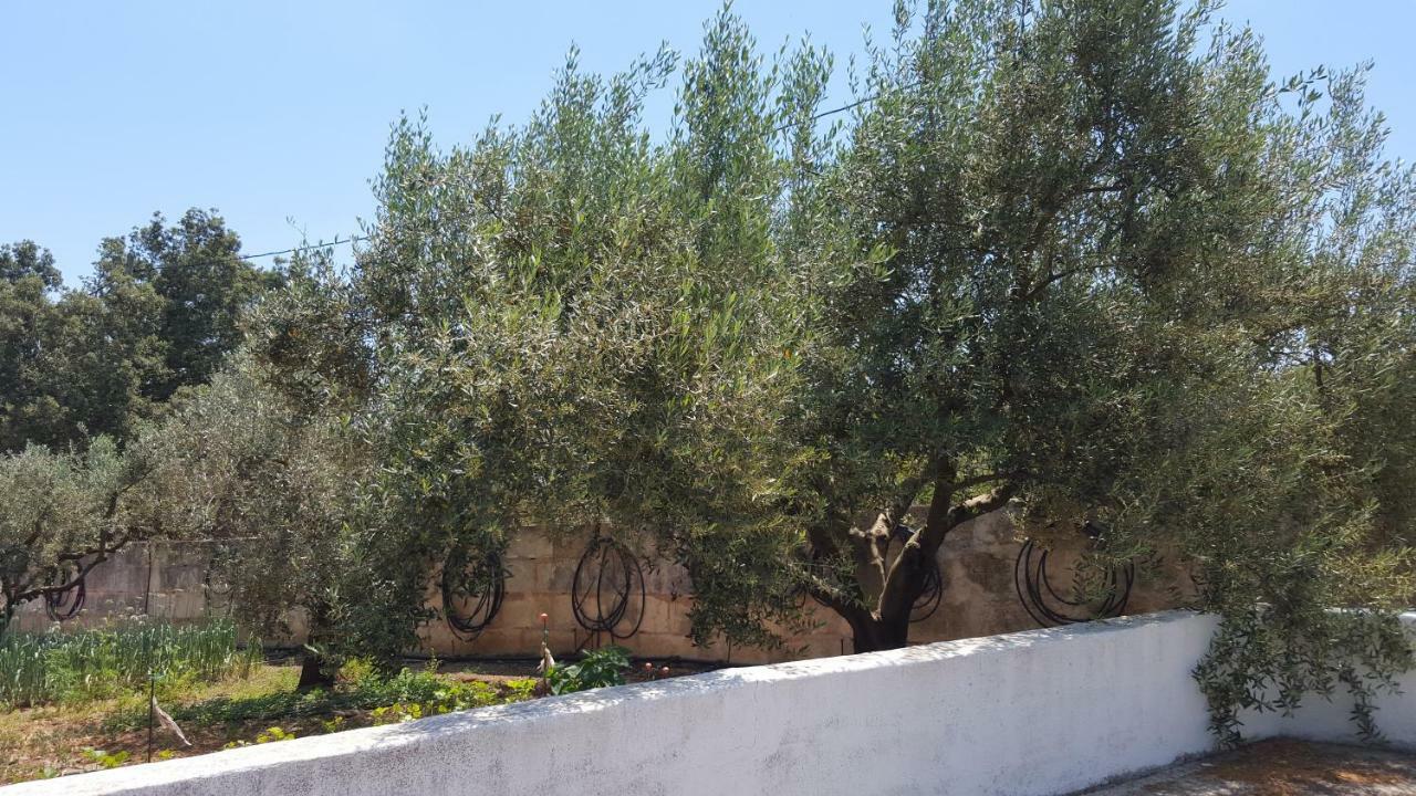 Finca Sa Cova De Mallorca เซนเซเยส ภายนอก รูปภาพ