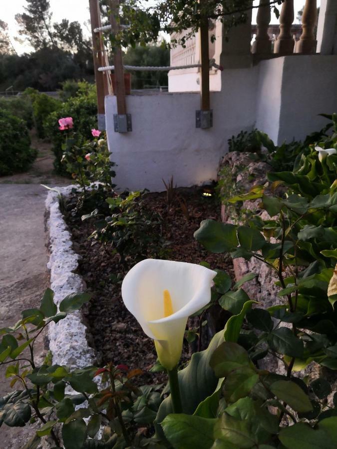 Finca Sa Cova De Mallorca เซนเซเยส ภายนอก รูปภาพ
