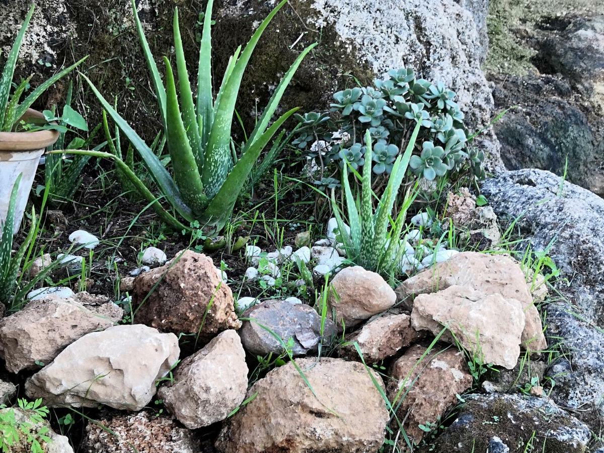 Finca Sa Cova De Mallorca เซนเซเยส ภายนอก รูปภาพ