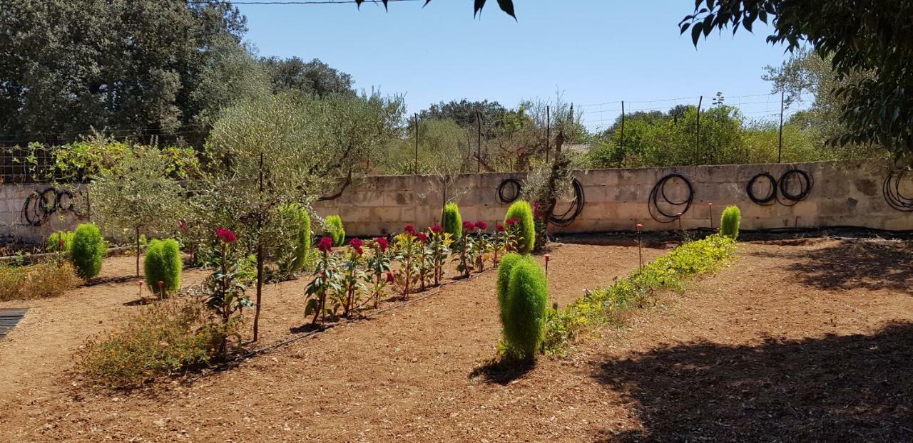 Finca Sa Cova De Mallorca เซนเซเยส ภายนอก รูปภาพ
